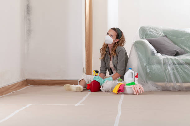 Reliable Attic Mold Remediation contractor in Bloomington, MN by 24 Hour Mold Removal